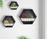 Mixed 3 Iron Honeycomb Wall Planter Indoor, Hexagon Wall Hanging Planter, Geometric Terrarium, Wall Vase Florarium, Metal Planter for Wall