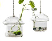 2 Pack Glass Hanging Vase Planter Vase Mushroom Shape Terrarium Bud Flower Container for Home Decoration