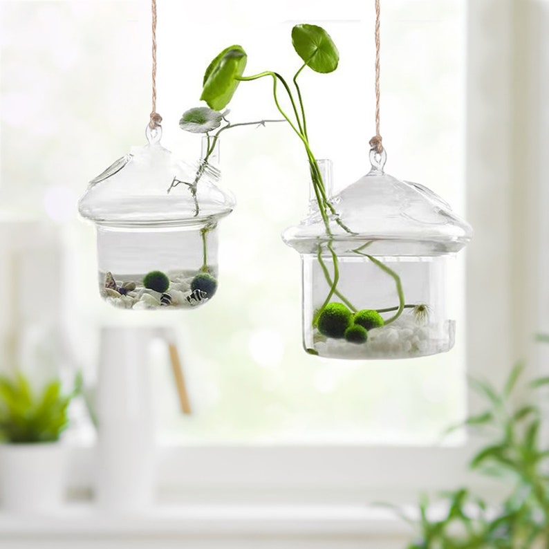 2 Pack Glass Hanging Vase Planter Vase Mushroom Shape Etsy
