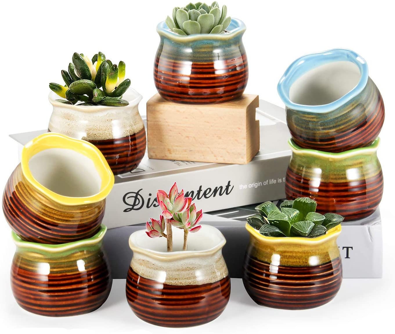Set of 8 Succulent Pots with Drainage 2.8 Inch Shiny Finish Etsy