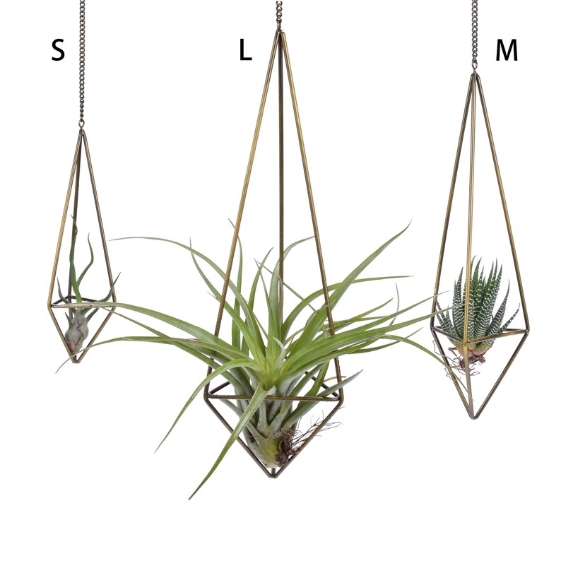 Set of 3 Wall Hanging Planter Hanging Metal Tillandsia Air Etsy