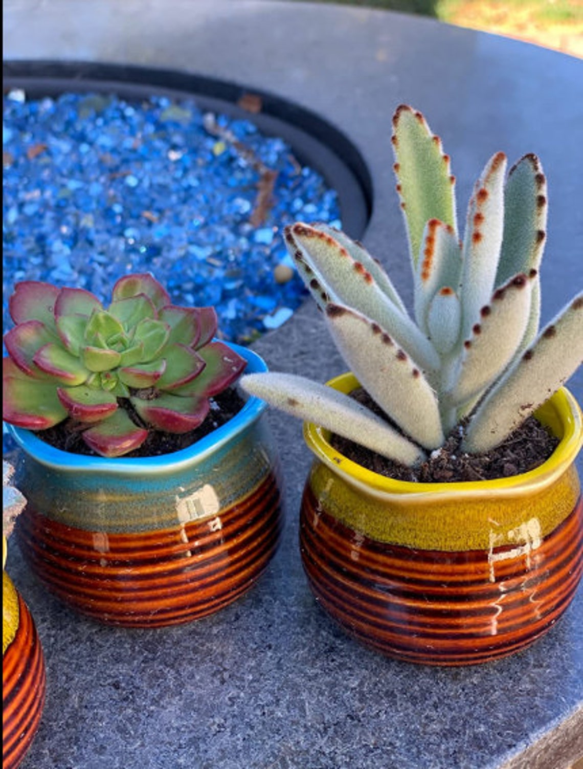 Set of 8 Succulent Pots with Drainage 2.8 Inch Shiny Finish Etsy