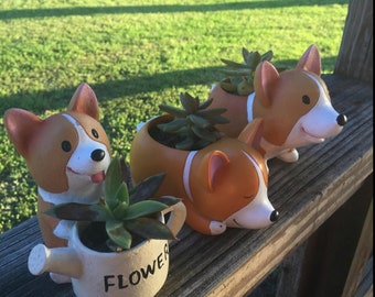7.5HX7.5W Carolines Treasures Dog House Collection Petit Basset Griffon Veenden Pair of Pot Holders BB2833PTHD Multicolor 7.5HX7.5W Carolines Treasures Dog House Collection Petit Basset Griffon Veenden Pair of Pot Holders BB2833PTHD Multicolor