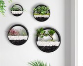 Pack of 4 Wall Hanging Planters Modern Wall Planter Terrarium Circle Metal Flower Pot Air Plant Vertical Holders Hanging Vase Home Decor