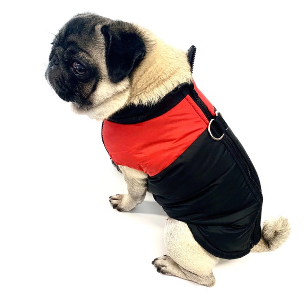 Manteau d'hiver rouge rembourré et imperméable pour chien avec anneau en D pour attacher la laisse. Chaud, lavable, fermeture éclair, noir, pour grands et petits chiens