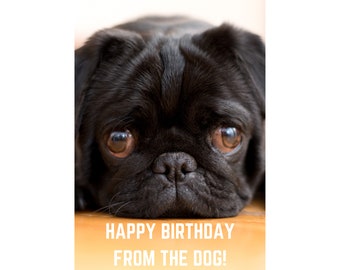 Joyeux Anniversaire Carlin Etsy