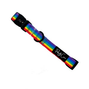 Rainbow Dog Collar - Bright - Colourful - Blue, Yellow, Green, Pink, Purple, Fun, Bright
