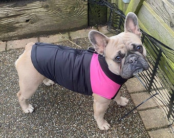 Manteau d'hiver rose rembourré et imperméable pour chien avec anneau en D pour attacher la laisse. Chaud, lavable, fermeture éclair, noir, pour grands et petits chiens