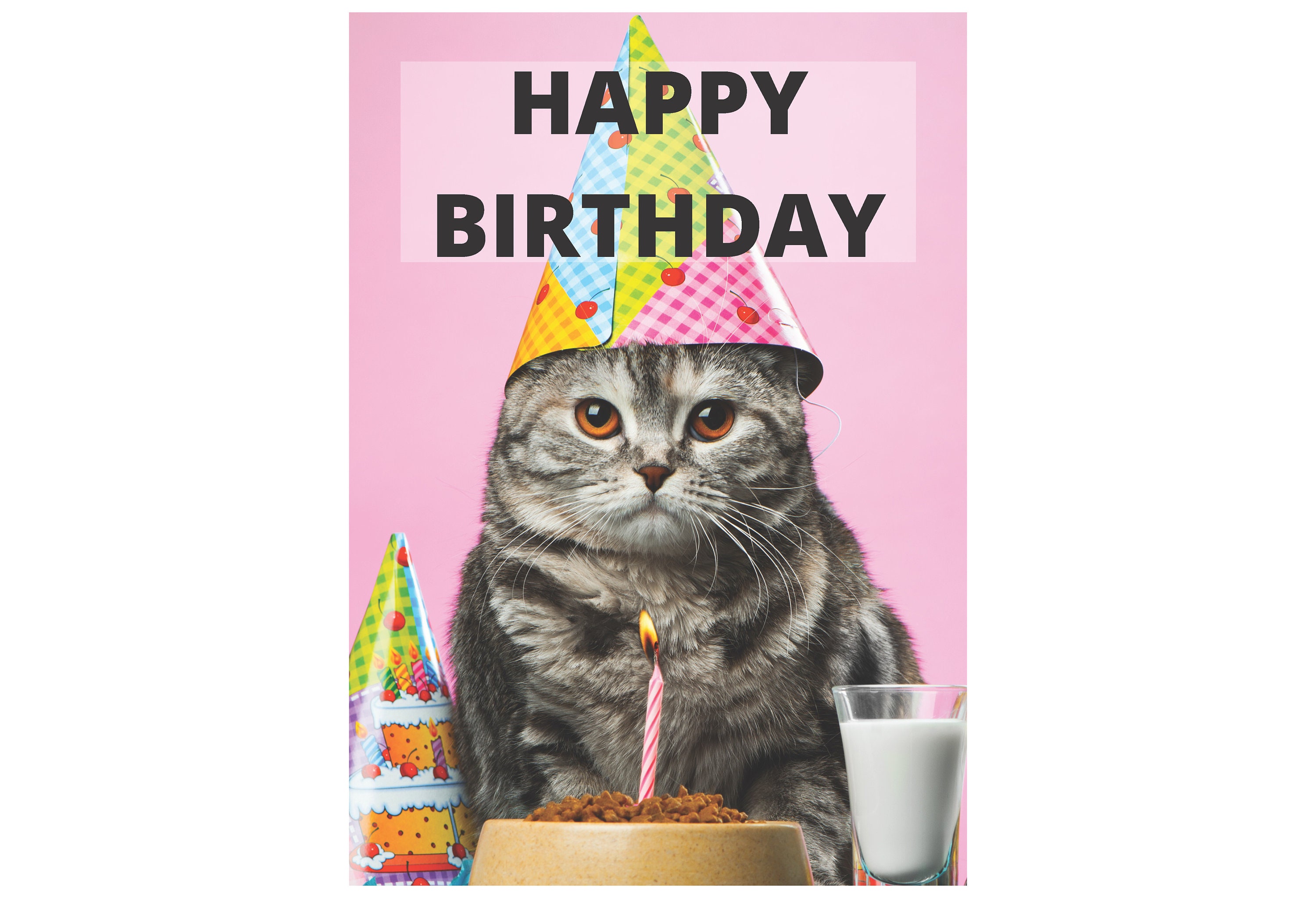 Joyeux Anniversaire Chat Carte De Vœux Mignon Chat Grincheux Etsy France