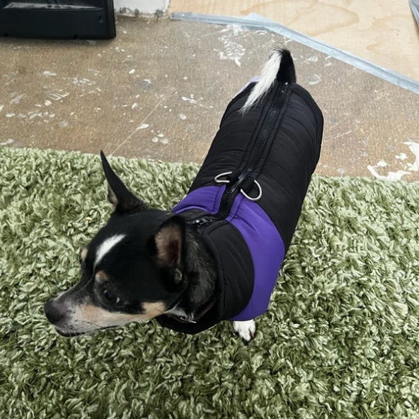 Purple Padded Cosy Waterproof Dog Winter Coat with D Rings for lead attachment. Warm, Washable, Zip Up, Black Purple for Big and Small Dogs