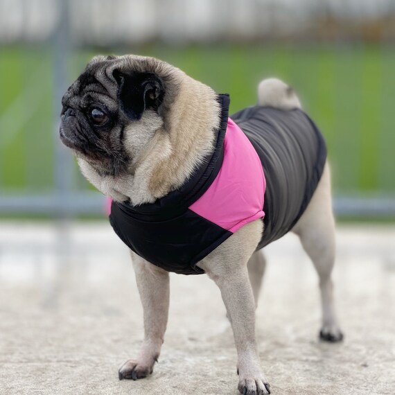 waterproof dog coat with d ring