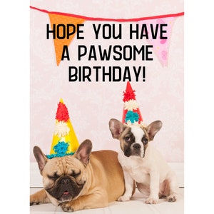 Have a Pawsome Birthday Greeting Card, Cute Dogs