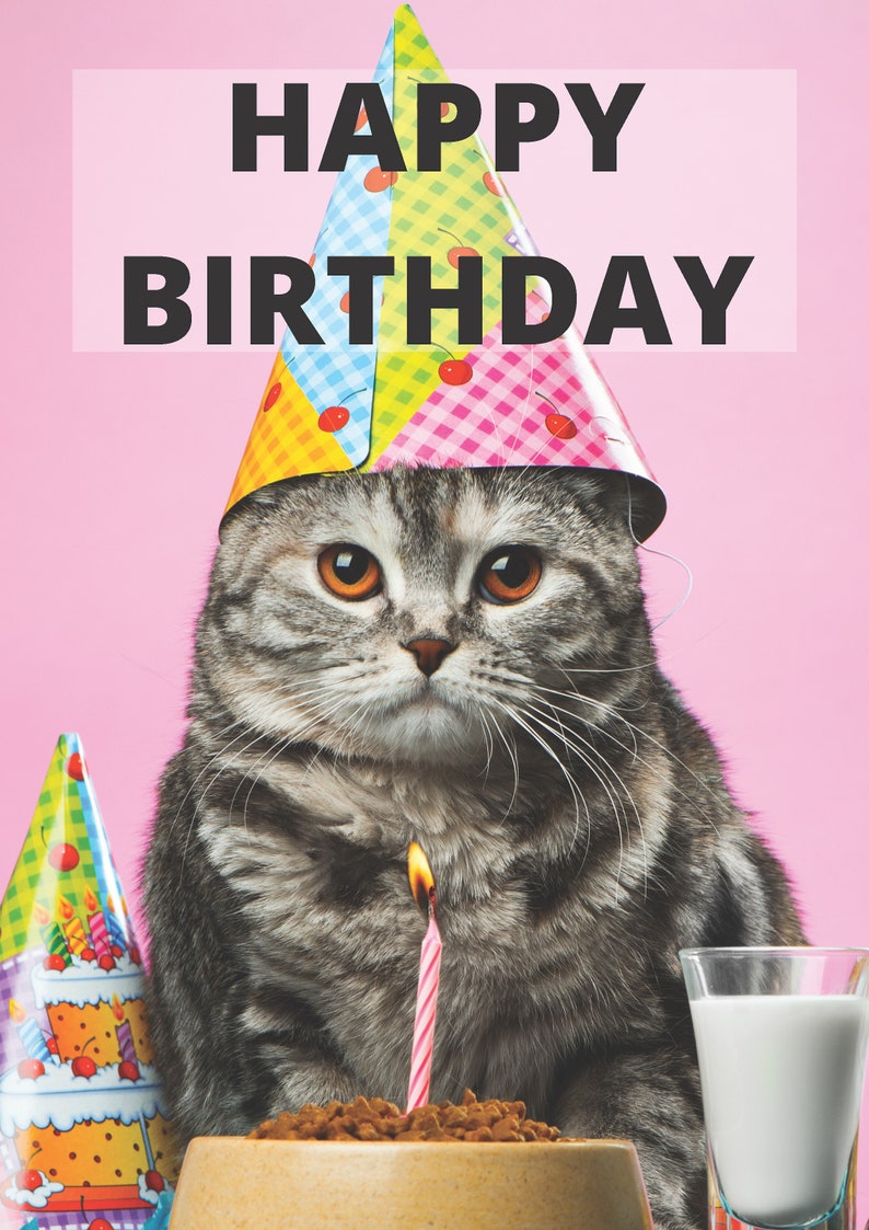 Happy Birthday Cat Greeting Card Cute Grey Grumpy Cat | Etsy
