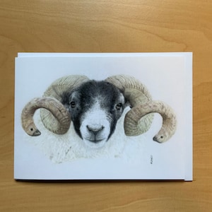 Blackface Sheep Tup Ram - Greetings Card
