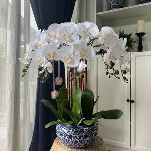 Peut inclure: Plante d'orchidée blanche avec des feuilles vertes dans un pot en céramique bleu et blanc. Le pot est posé sur un tabouret en paille tressée.