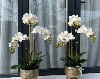 Exclusive Artificial Orchids Arrangement Blue and White - Etsy