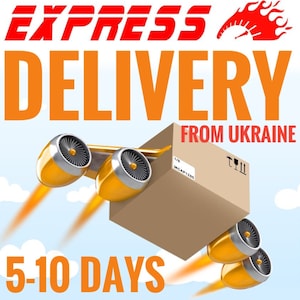 Express Delivery . Fast  Delivery