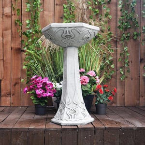 May include: A grey stone bird bath with an intricate design. The bath is on a pedestal and is surrounded by green plants.