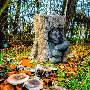 May include: A grey stone gnome statue with a beard and a hat, sitting inside a tree stump. The gnome is holding a small object in its hand. The statue is surrounded by fallen leaves and mushrooms.