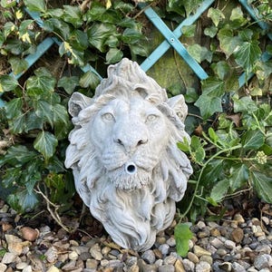 May include: A grey stone lion head sculpture with a spout for water. The sculpture is placed on a bed of small stones.