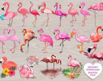 Ice Pop Holder Flamingo Summer Watercolor Print Personalized Monogram