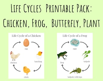 Life Cycles Printable Pack