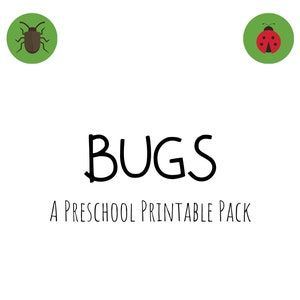 Bugs - Preschool Printable Pack