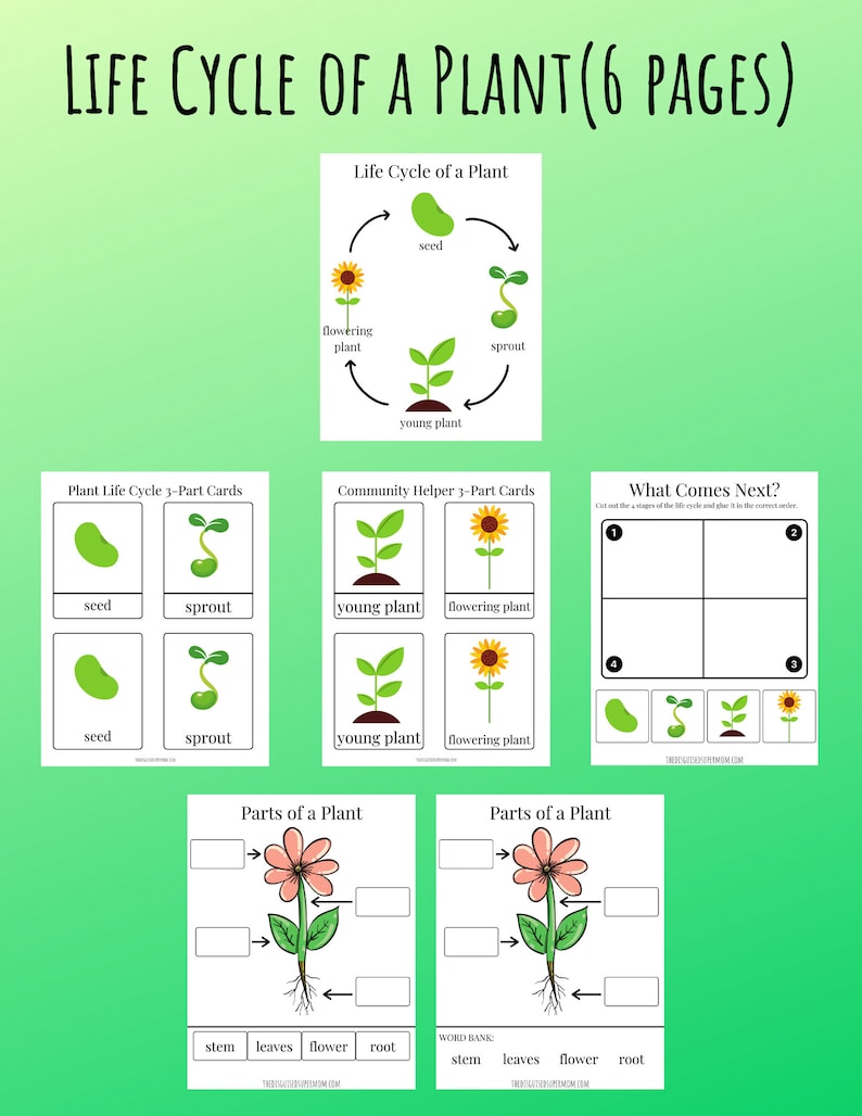 Life Cycles Printable Pack - Etsy