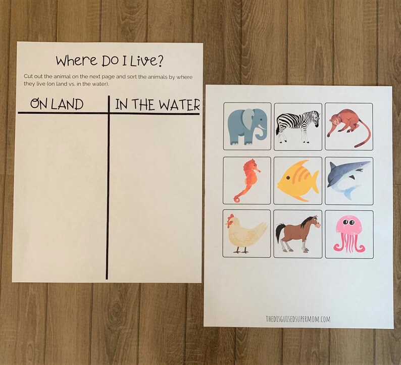 Animals Preschool Printable Pack | Etsy