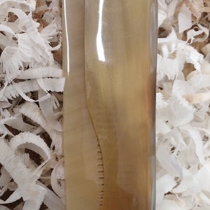 May include: A light brown, horn comb with a silver rivet. The comb is folded closed and is sitting on a bed of white wood shavings.