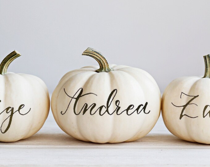 White Pumpkin Place Cards, Mini Pumpkin Fall Place Settings ...