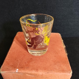 May include: Clear shot glass with a brown bear illustration and the words "Bottoms Up" in yellow. The glass is on a red-orange box. The bear is in a standing position.