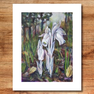 Ghost Pipe Mushroom Art Print (Signed) | Painting of Ghost Pipe Plant - Botanical Art - Cottagecore Witch Room Decor - 8 x 10 Print