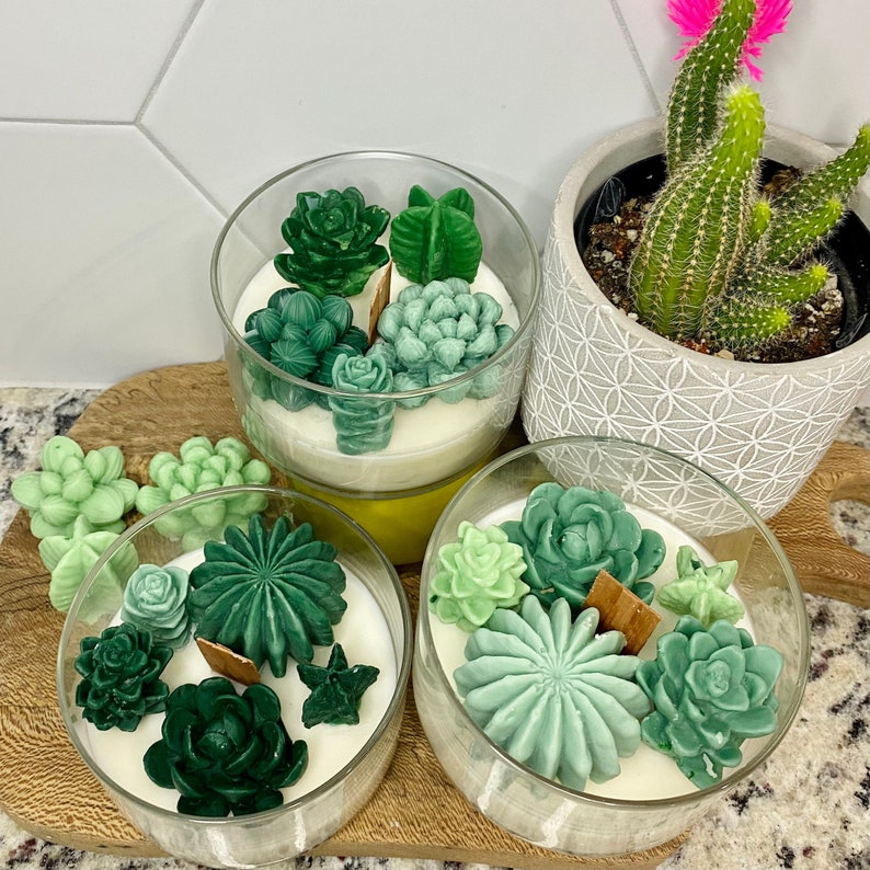 Succulent Cacti Candle, Succulent Cacti Terrarium Garden Gift, Cactus Blossom Scent, Candle for Plant Lover, Gift for Gardener, Gift for her 