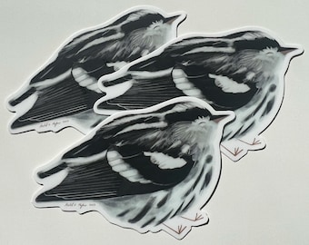 Schwarzweiß-Waldsänger Sticker: Entzückender illustrierter Vogel Vinyl Sticker