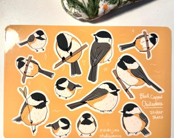 Schwarzkopfmeise Aufkleber Set