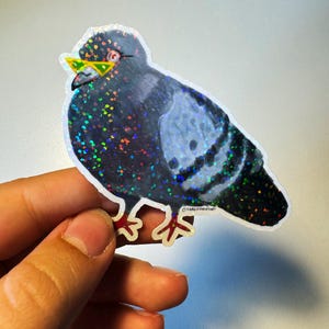 Lunettes de soleil Pigeon - Sticker holographique en vinyle - Pigeon élégant - Sticker amusant pour les amateurs d'oiseaux