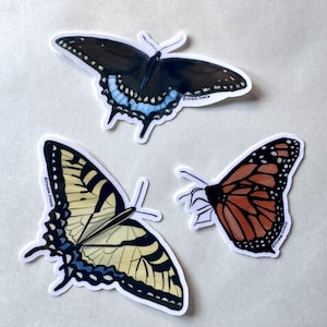 May include: Three die-cut stickers featuring illustrations of butterflies. One is dark brown with blue accents, one is yellow with black stripes and blue markings, and one is orange and black. Each sticker includes the text "estudio junco".