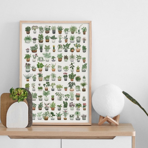 100 Plants Print