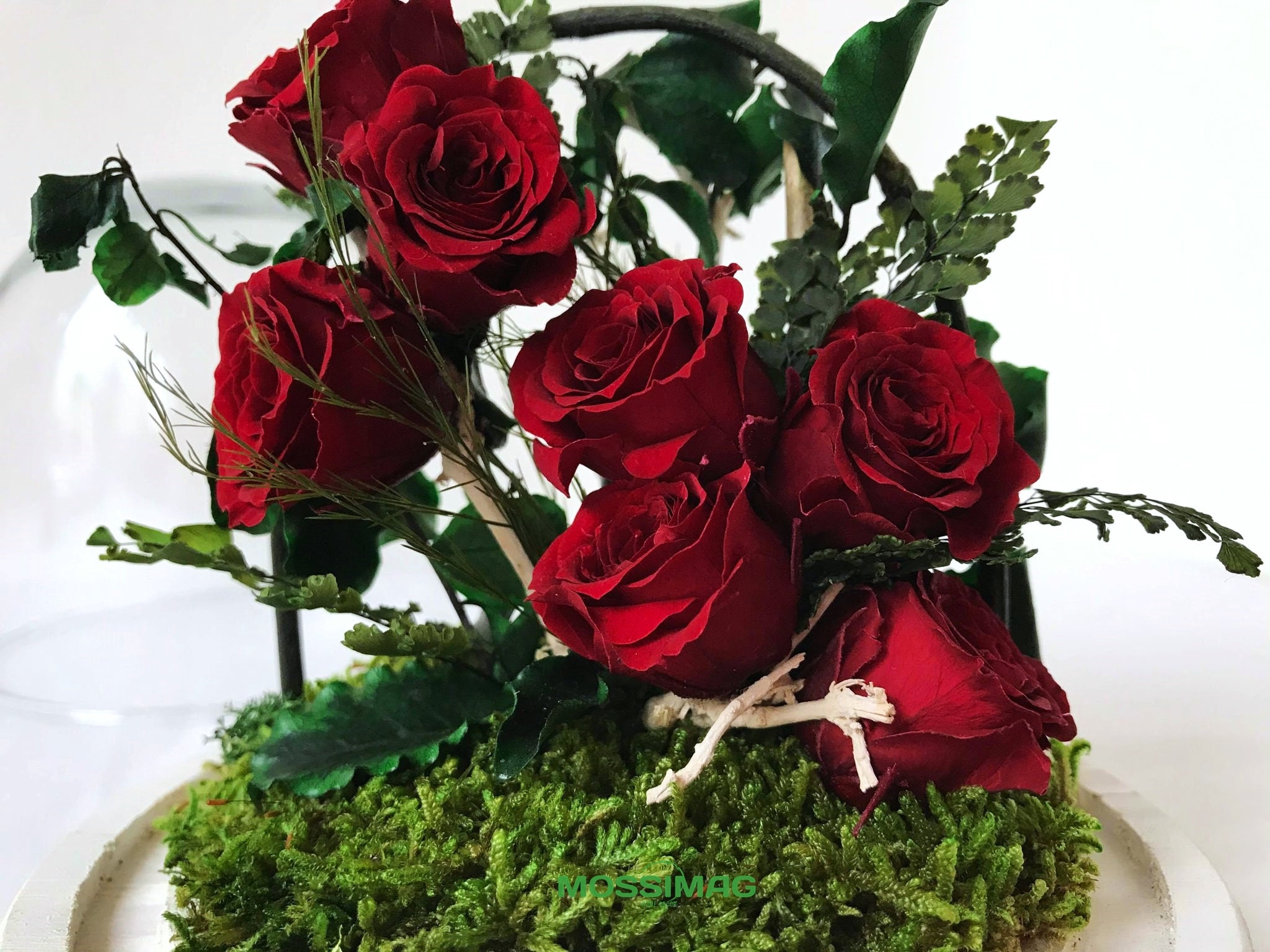 Glass dome with rose rose terrarium couple's gift mini Etsy