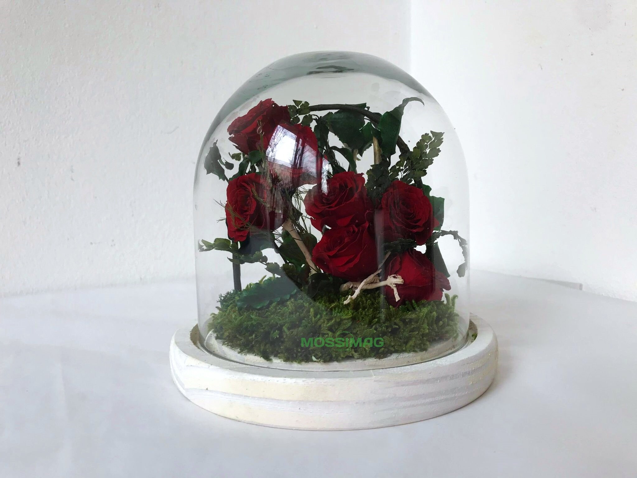Glass dome with rose rose terrarium couple's gift mini Etsy