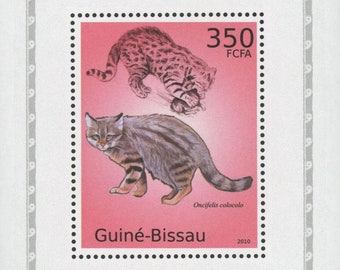 Colocolo Cat Etsy
