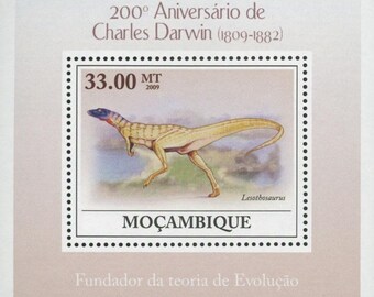 Lesothosaurus Etsy