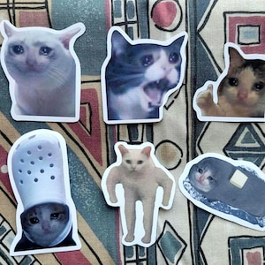 Pack d'autocollants mèmes chat qui pleure Décalcomanies en vinyle mat