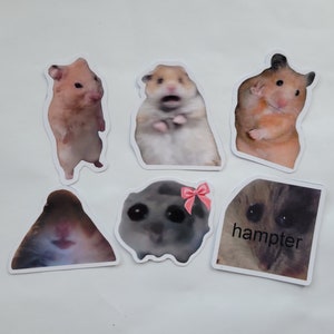Pacote de adesivos de meme de hamster decalques de vinil brilhante, hamster de laço cinza, hamster assustado