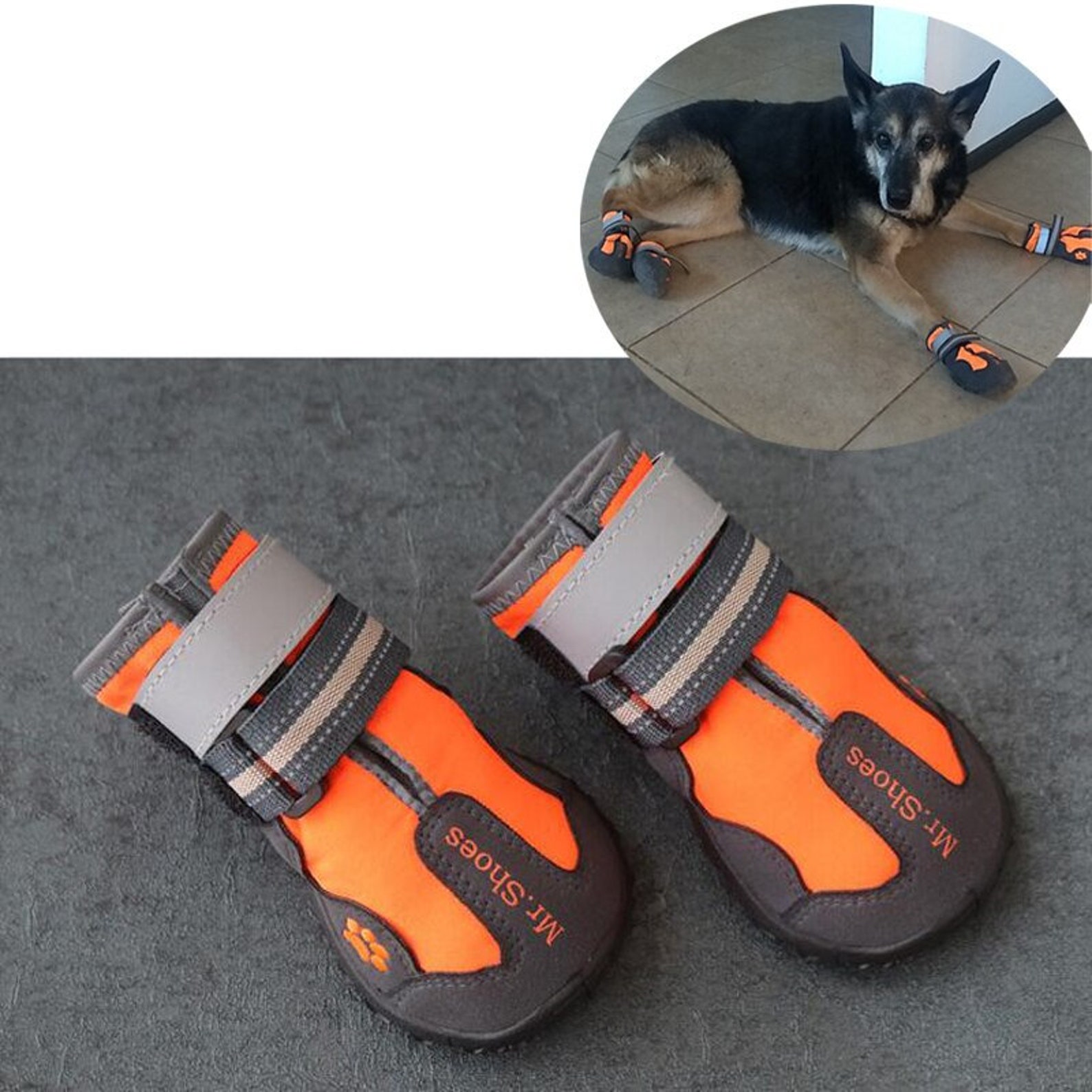 waterproof shoes for walking the dog
