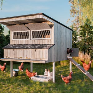 Könnte beinhalten: Ein Hühnerstall aus Holz mit einem schrägen Dach und einer Rampe. Der Stall steht auf Stelzen und hat einen Nistkasten und eine Sitzstange. Es gibt mehrere Hühner im Hof, einige davon sind braun und einige sind weiß.