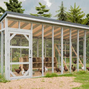 8x20 Large DIY Chicken Run Plans – Easy Backyard Chicken Run | Digital PDF Download