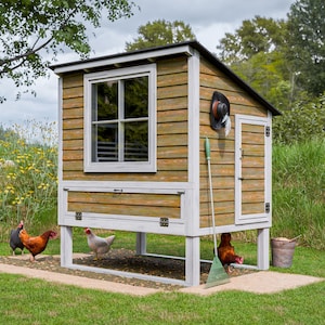 Chicken Coop Plans 4x6 Small Walk In Chicken Coop for up to 6 Chickens