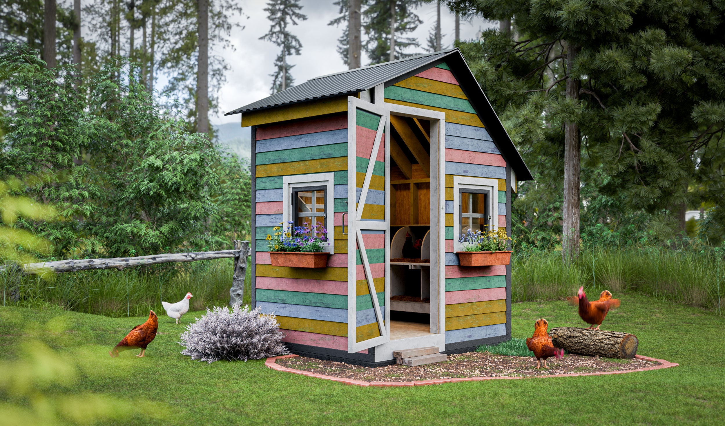 Sevi　にわとり小屋　country life 鶏小屋の設計図 5x6 鶏小屋（10羽用） - Etsy 日本